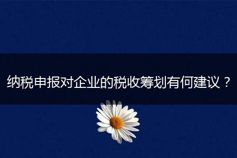 纳税申报对企业的税收筹划有何建议？
