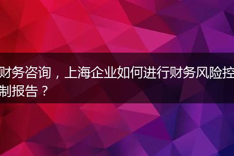 财务咨询，上海企业如何进行财务风险控制报告？