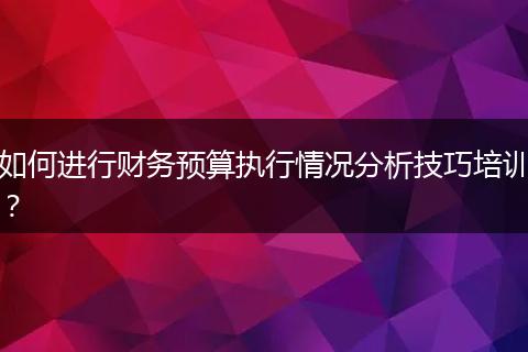 如何进行财务预算执行情况分析技巧培训？