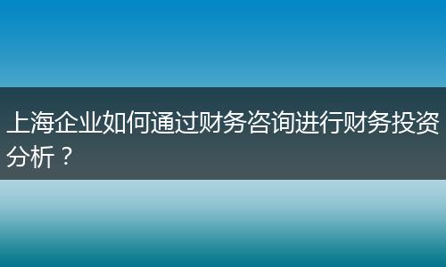 上海企业如何通过财务咨询进行财务投资分析？