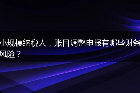 小规模纳税人，账目调整申报有哪些财务风险？