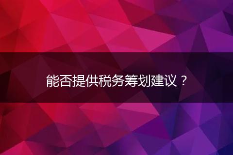能否提供税务筹划建议？