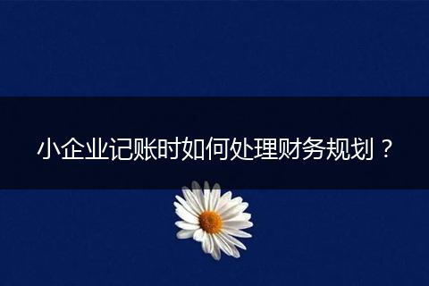 小企业记账时如何处理财务规划？