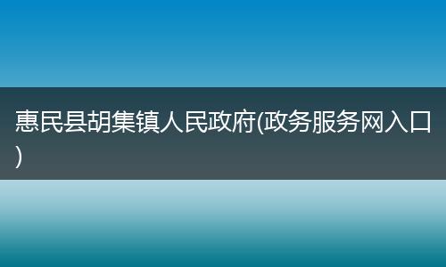 惠民县胡集镇人民政府(政务服务网入口)
