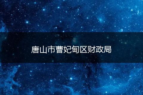 唐山市曹妃甸区财政局