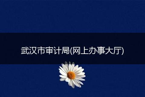 武汉市审计局(网上办事大厅)
