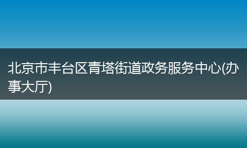 北京市丰台区青塔街道政务服务中心(办事大厅)