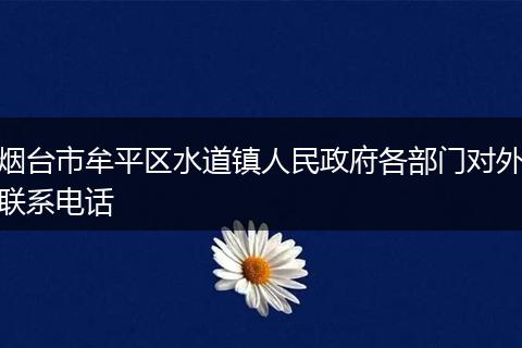 烟台市牟平区水道镇人民政府各部门对外联系电话