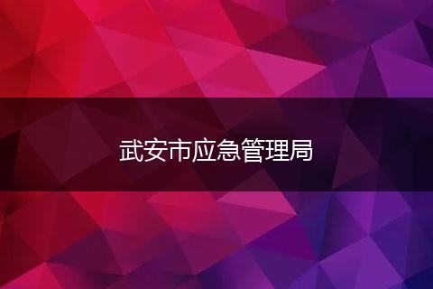 武安市应急管理局