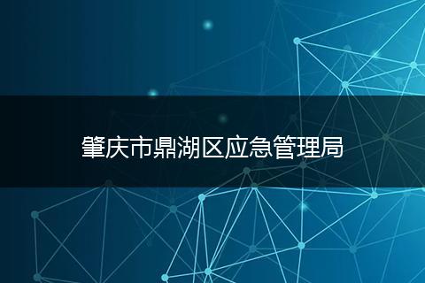 肇庆市鼎湖区应急管理局