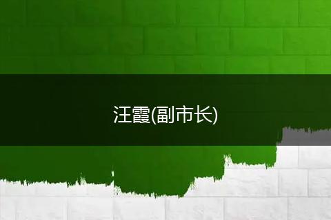 汪霞(副市长)