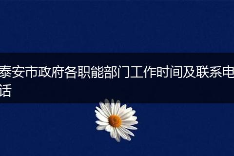 泰安市政府各职能部门工作时间及联系电话