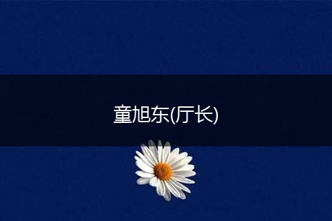 童旭东(厅长)