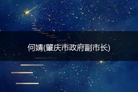 何婧(肇庆市政府副市长)