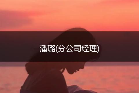潘璐(分公司经理)