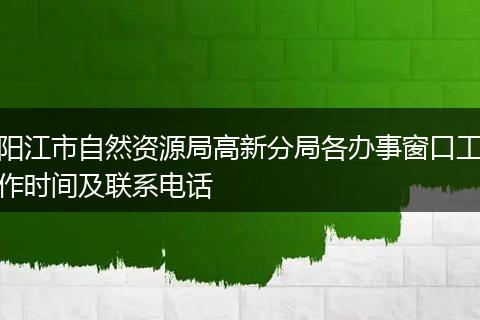 阳江市自然资源局高新分局各办事窗口工作时间及联系电话
