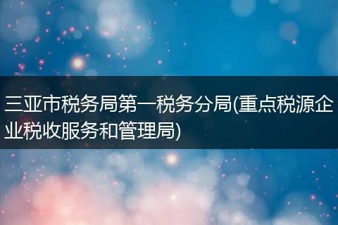 三亚市税务局第一税务分局(重点税源企业税收服务和管理局)
