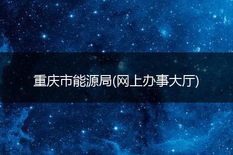 重庆市能源局(网上办事大厅)