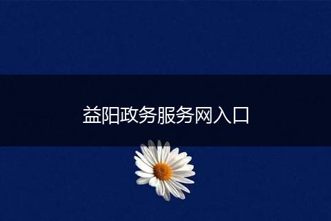 益阳政务服务网入口