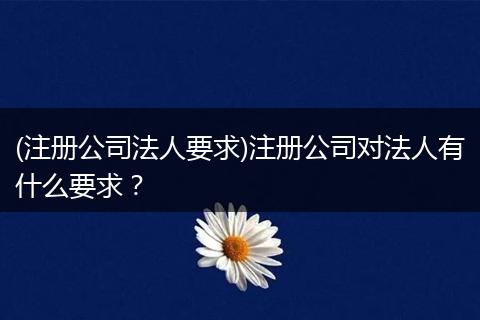 (注册公司法人要求)注册公司对法人有什么要求?