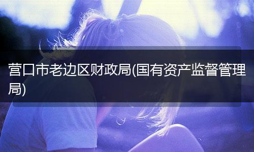 营口市老边区财政局(国有资产监督管理局)