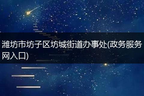潍坊市坊子区坊城街道办事处(政务服务网入口)