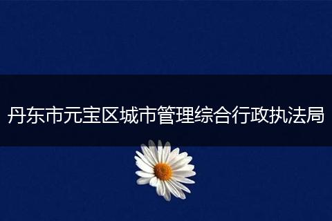 丹东市元宝区城市管理综合行政执法局