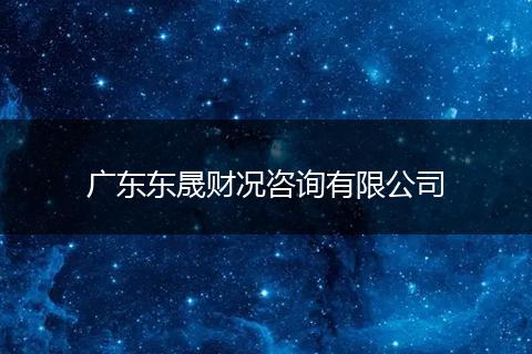 广东东晟财况咨询有限公司