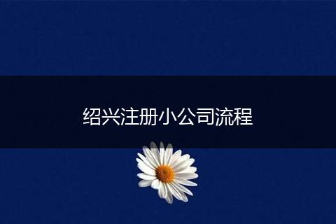 绍兴注册小公司流程
