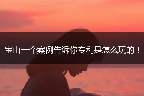 宝山一个案例告诉你专利是怎么玩的！