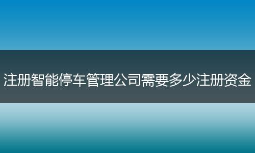 注册智能停车管理公司需要多少注册资金