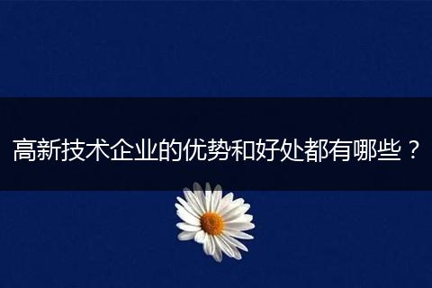 高新技术企业的优势和好处都有哪些？