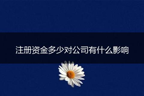 注册资金多少对公司有什么影响