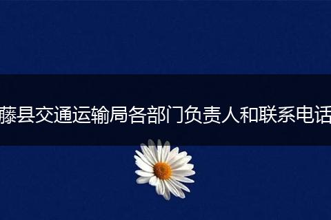 藤县交通运输局各部门负责人和联系电话