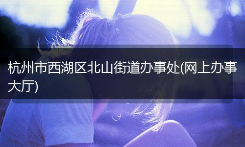 杭州市西湖区北山街道办事处(网上办事大厅)