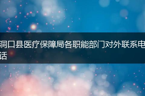 洞口县医疗保障局各职能部门对外联系电话