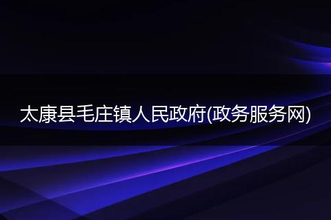 太康县毛庄镇人民政府(政务服务网)