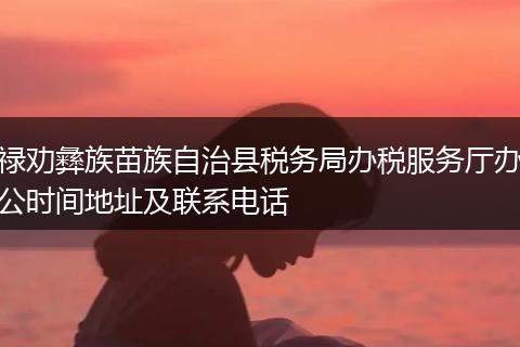 禄劝彝族苗族自治县税务局办税服务厅办公时间地址及联系电话