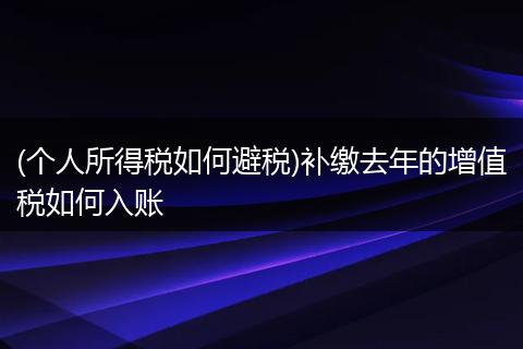 (个人所得税如何避税)补缴去年的增值税如何入账