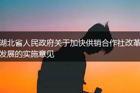 湖北省人民政府关于加快供销合作社改革发展的实施意见