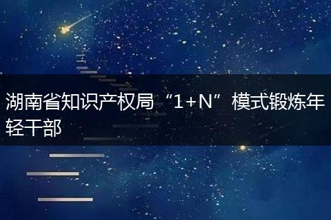 湖南省知识产权局“1+N”模式锻炼年轻干部