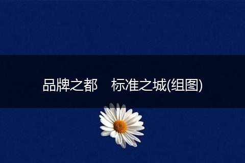 品牌之都　标准之城(组图)