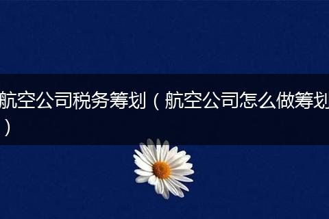 航空公司税务筹划（航空公司怎么做筹划）