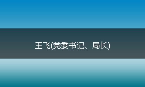 王飞(党委书记、局长)