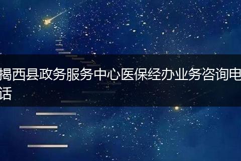 揭西县政务服务中心医保经办业务咨询电话