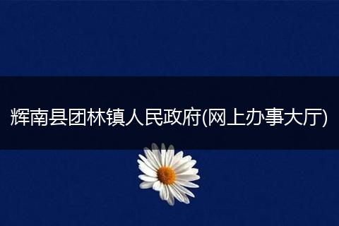 辉南县团林镇人民政府(网上办事大厅)