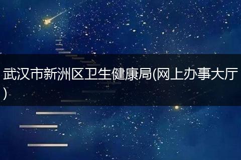 武汉市新洲区卫生健康局(网上办事大厅)