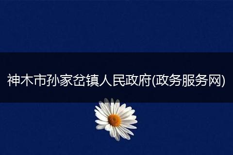 神木市孙家岔镇人民政府(政务服务网)
