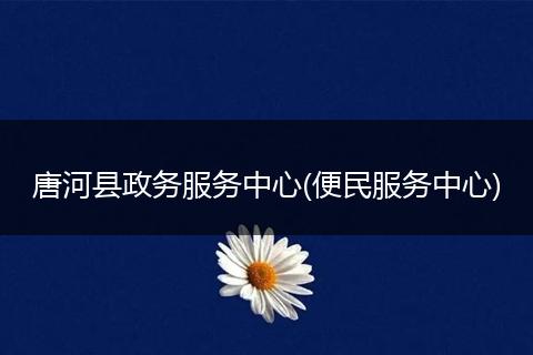 唐河县政务服务中心(便民服务中心)