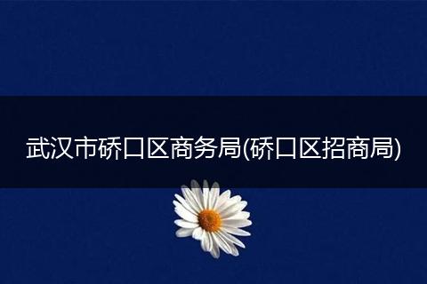 武汉市硚口区商务局(硚口区招商局)